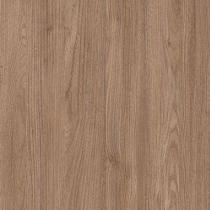 VERMONT ELM